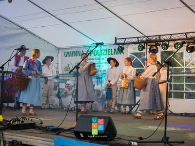 Obraz 245: Święto Gminy Radziechowy-Wieprz - 30 cz...