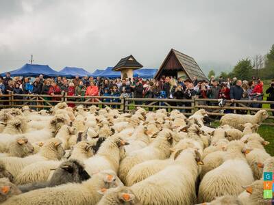 REDYK 2019 w Przybędzy