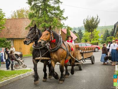 Obraz 10: REDYK 2019 w Przybędzy
