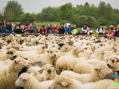 Obraz 73: REDYK 2019 w Przybędzy